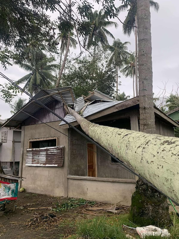 Strong Winds from 'Uwan' Topple Trees and Power Poles in Coastal Sultan ...