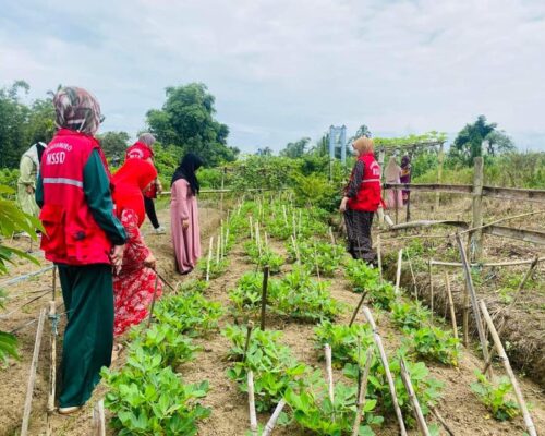 1,400 Contractual 4Ps Workers Transition to Regular BARMM Employees