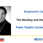 The Monkey and the Turtle