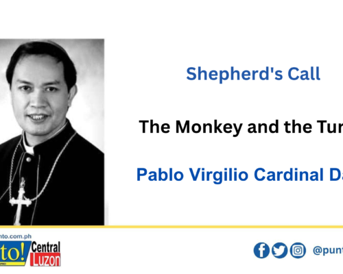 The Monkey and the Turtle