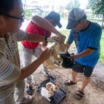 Davao Records 4,139 Euthanized Dogs and Cats in 2023