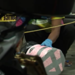 Decaying fetus found in QC hotel