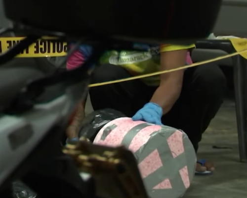 Decaying fetus found in QC hotel