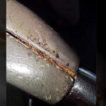 DOTr orders enhanced sanitation, pest control