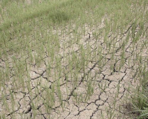 PAGASA: Dry Spell Hits 6 Mindanao Provinces and Davao City