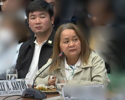 Sally Santos says she delivered P1.72B to ex-DPWH Engr. Brice Hernandez