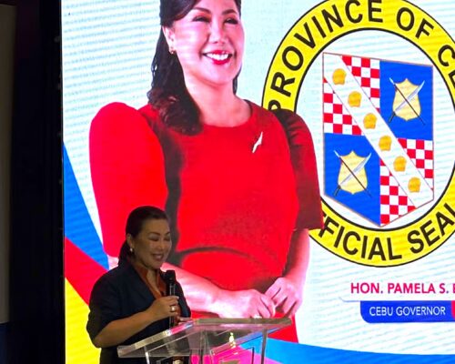 Cebu guv unveils energy roadmap