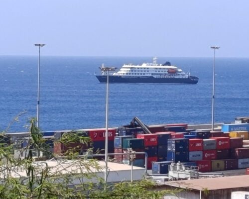 Rare human-to-human hantavirus transmission suspected on cruise, WHO says