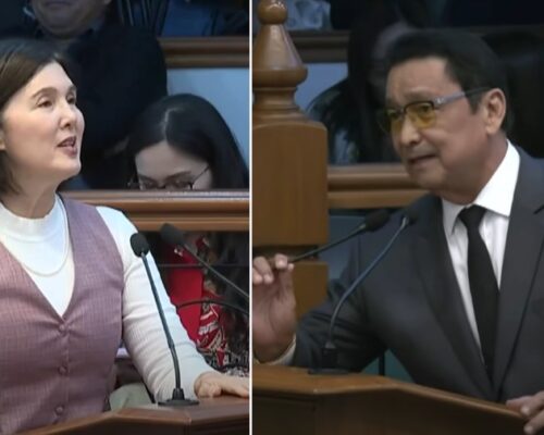 Lito Lapid, Pia Cayetano trade sweet words over maja blanca, suman