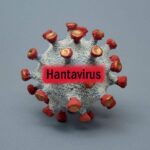 WHO revises hantavirus cases lower after US passenger tests negative