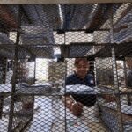 PHLPost speed up postal ID processing