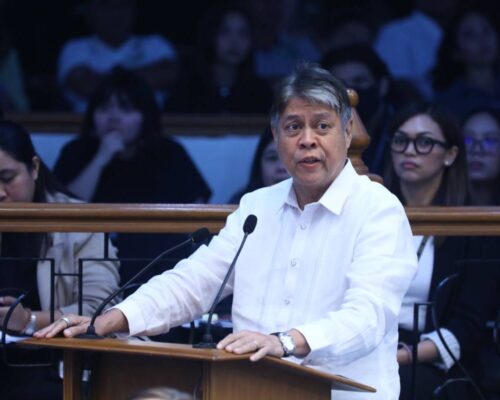Pangilinan bats for more funding for ube as global demand soars