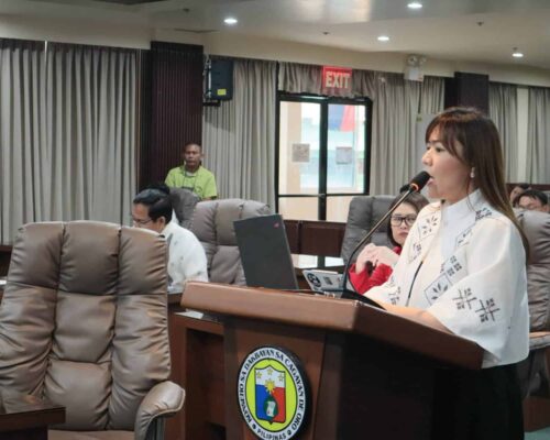 Dahino reiterates passage of expanded bullying ordinance