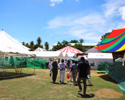 Quake-Hit Glan Converts Football Field into Emergency Hospital