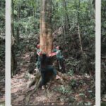 DENR, aDryada ink deal to restore 120,000 hectares of Samar rainforest