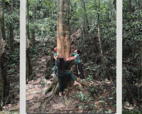 DENR, aDryada ink deal to restore 120,000 hectares of Samar rainforest
