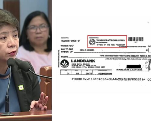 Ex-LandBank manager: OVP confidential fund checks already ‘shredded’