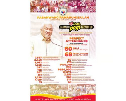 Lazatin marks 1st year in office with 60 bills
