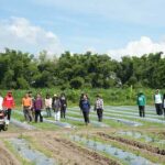 Capitol strengthens food security program