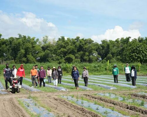 Capitol strengthens food security program