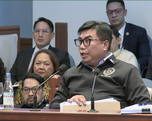 ‘Tokhang’ and Sara’s sheriff punch show ‘pattern of violence’—NBI chief