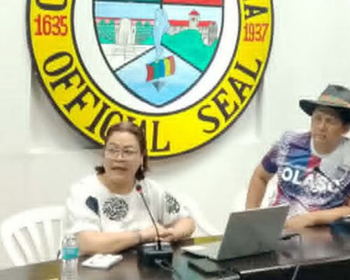 Zamboanga City declares dengue epidemic