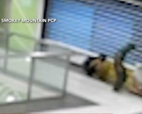 2 minors allegedly hurt, held at gunpoint by Manila mall guards