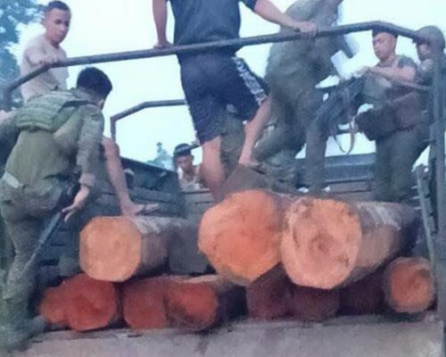 10 illegally cut Lawaan logs seized in Basilan