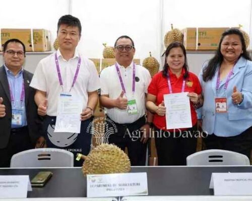 Davao Agri Products Log ₱3.41B at China-ASEAN Expo 2026