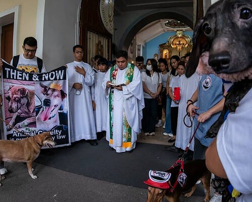 ANIMAL ADVOCATES MARCH FOR STRONGER PROTECTION